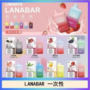 LANA BAR可充电一次性電子煙霧化5000口(3.0%)