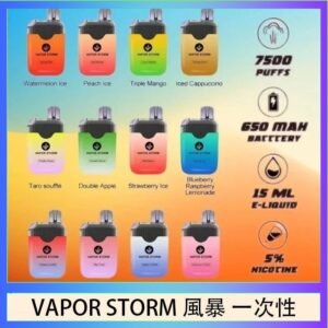 Vapor Storm風暴電子煙7500口（5%）一次性